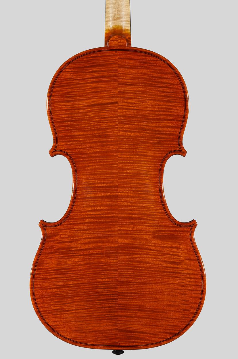 violin-back