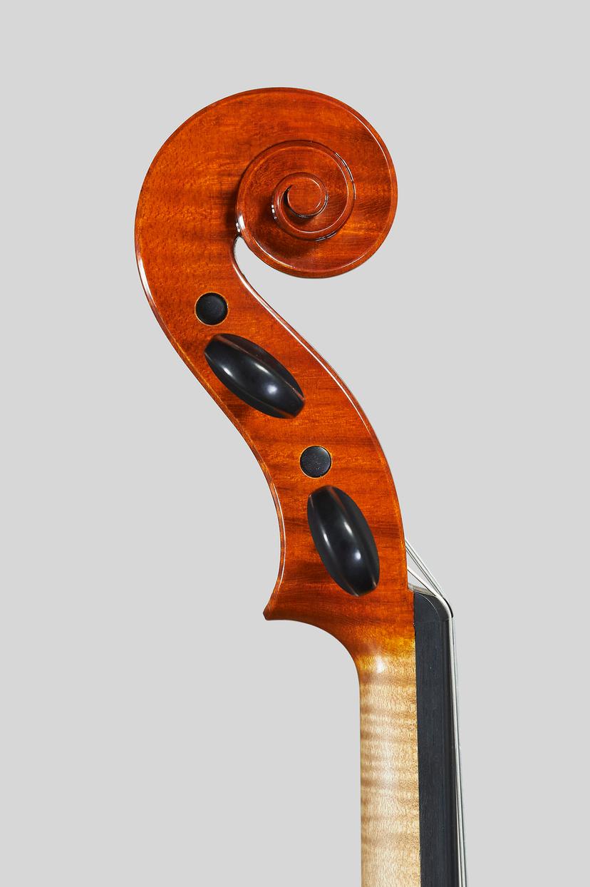 violin-curl